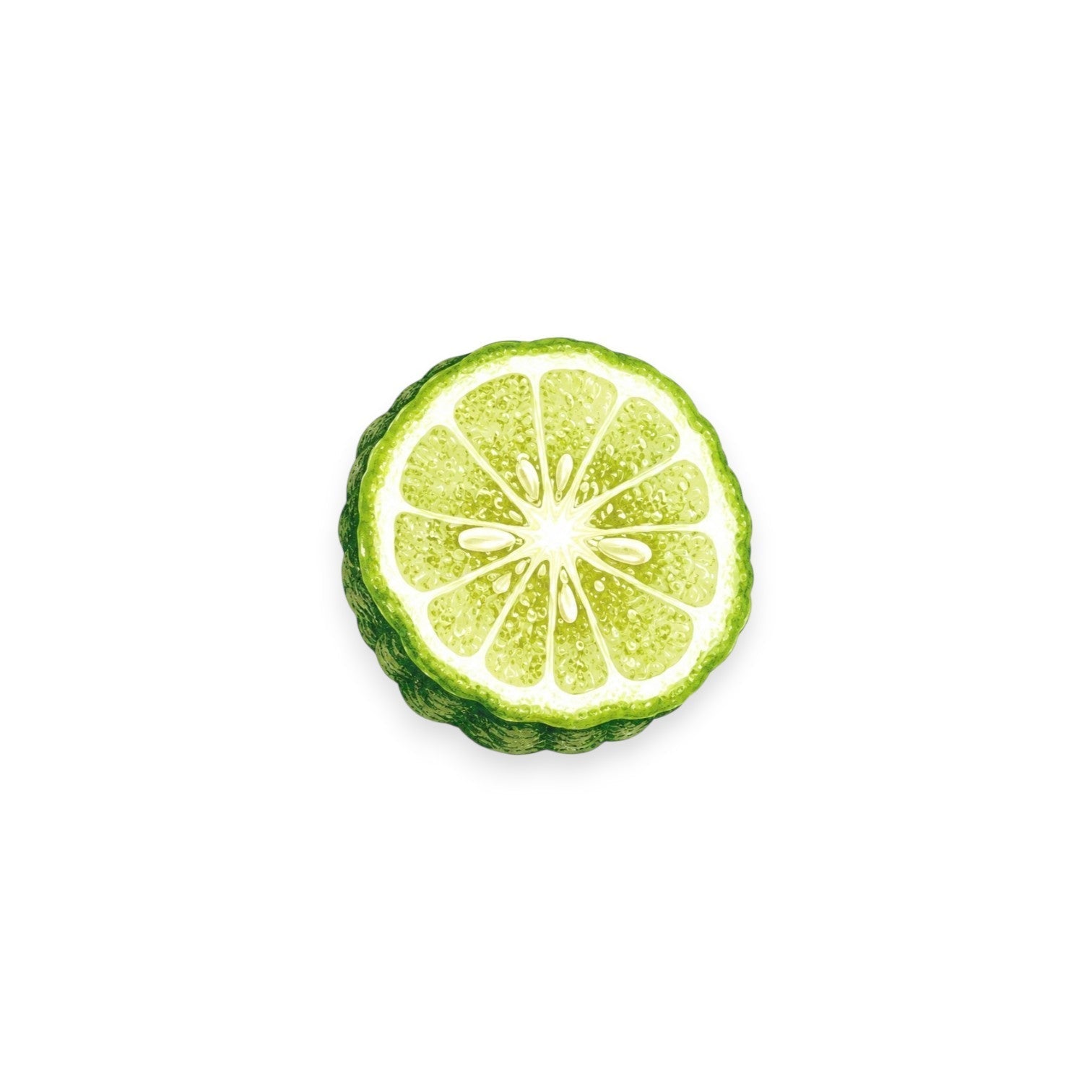 Бергамот (CITRUS AURANTIUM BERGAMIA FRUIT EXTRACT)