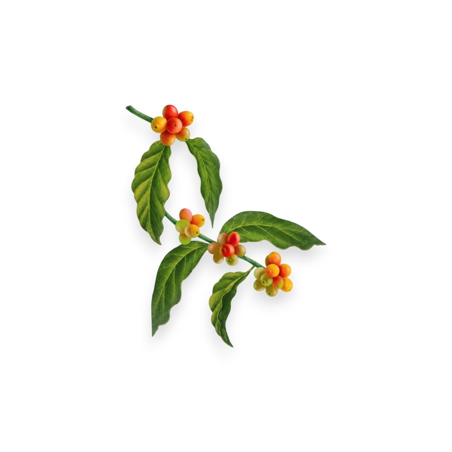 Екстракт от кафе (COFFEA ARABICA SEED EXTRACT)