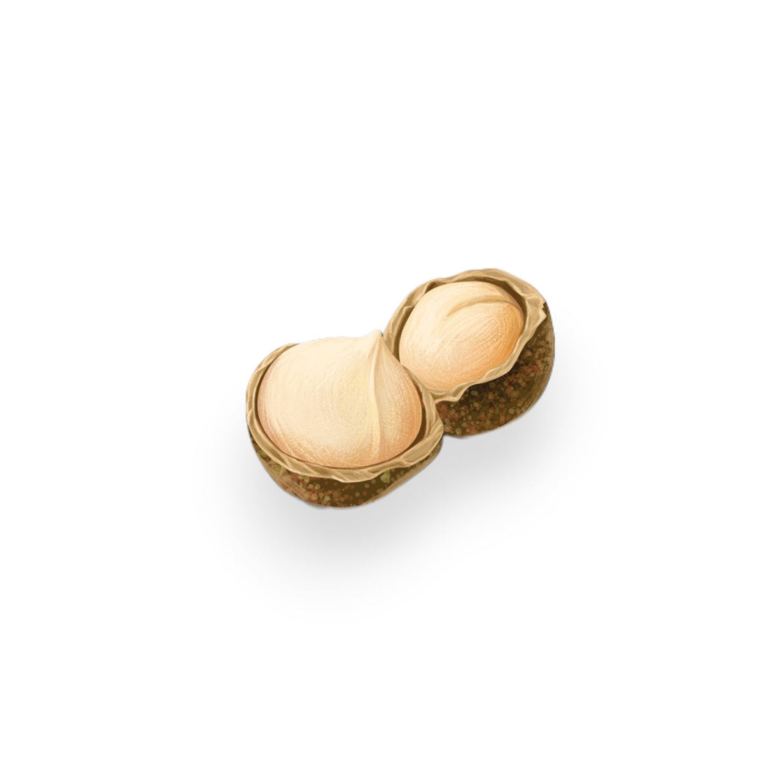 Масло от Макадамия (MACADAMIA TERNIFOLIA SEED OIL)