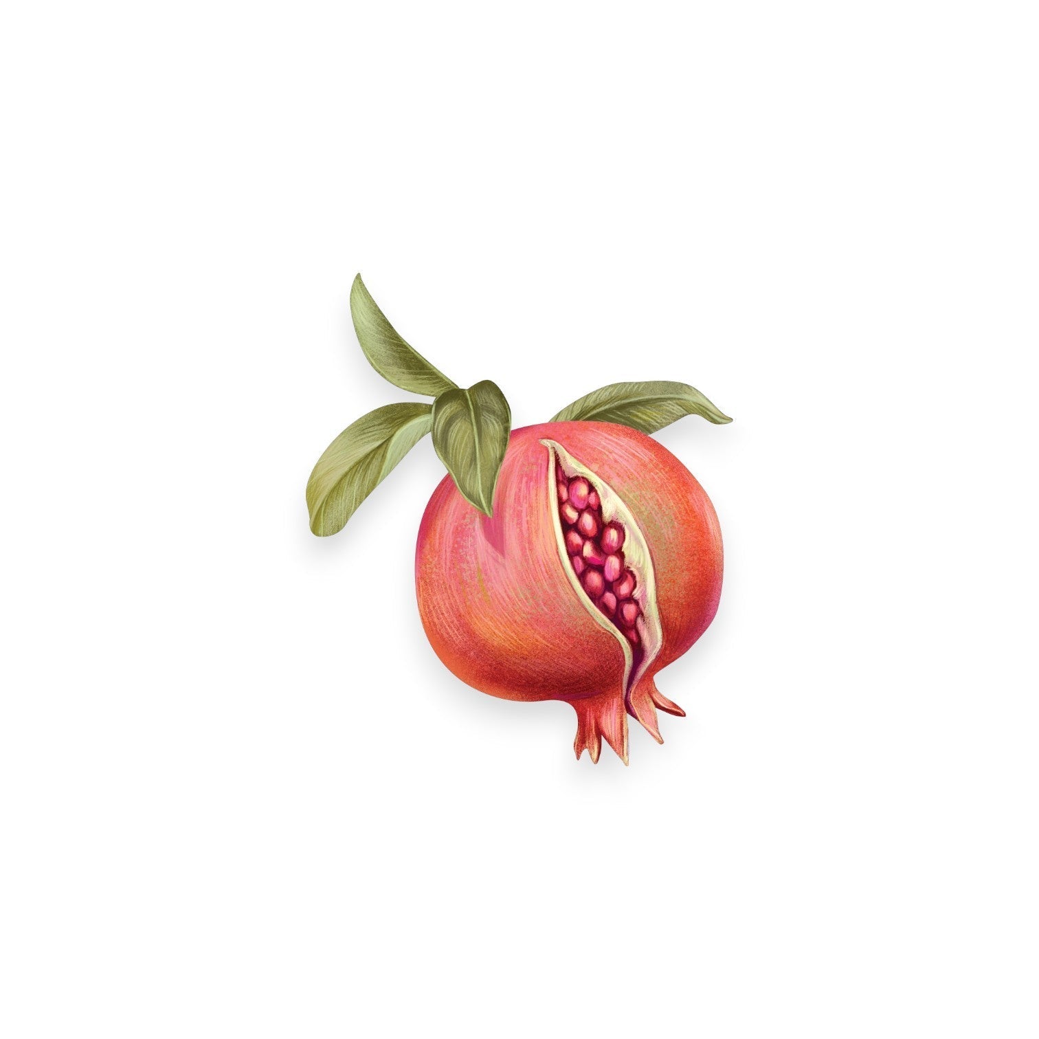 Екстракт от Нар (PUNICA GRANATUM FRUIT EXTRACT)